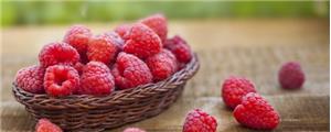 ALASKO RASPBERRIES WHOLE IQF 5/1KG